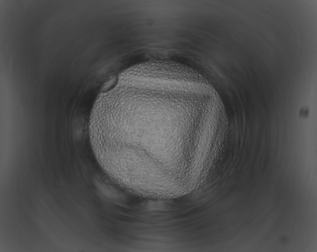 X0000091370134200708311533