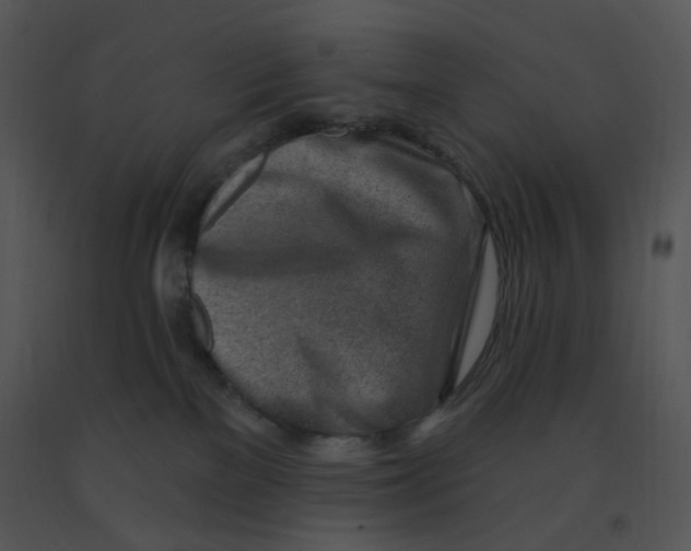 X0000091370137200708311533