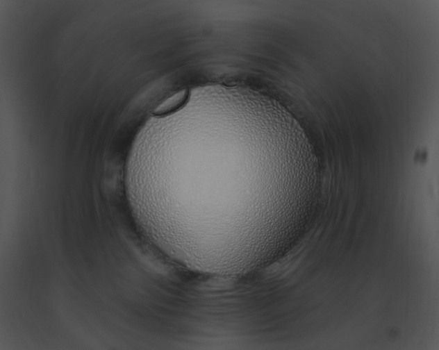 X0000091370138200708311533