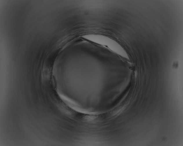 X0000091370139200708311533