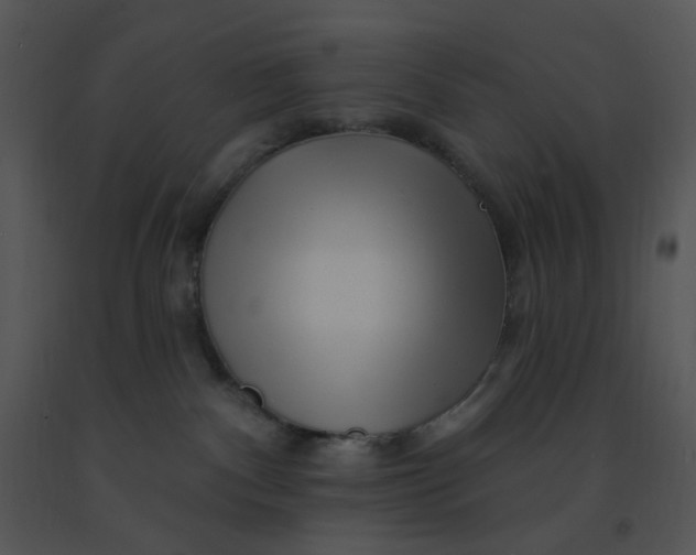 X0000091370140200708311533