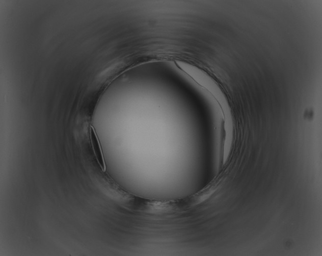 X0000091370141200708311533