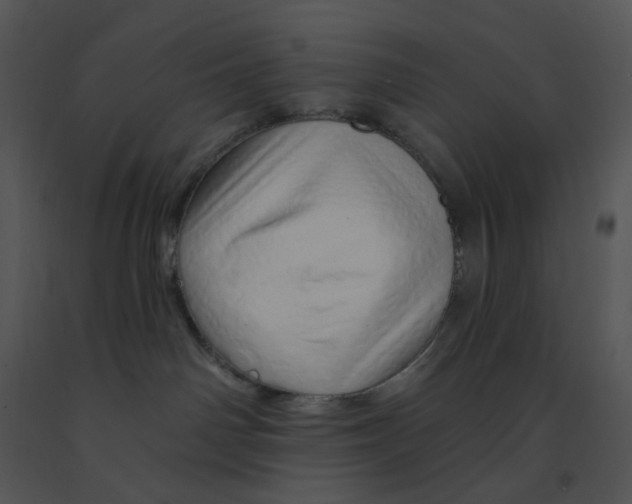 X0000091370142200708311533