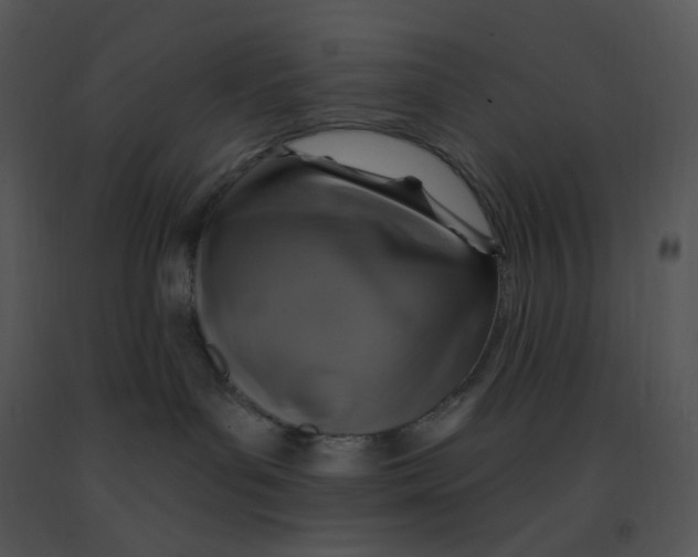 X0000091370143200708311533