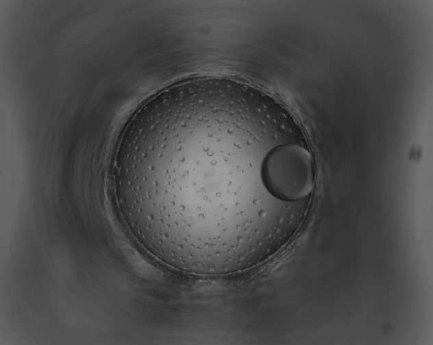 X0000091370145200708311532