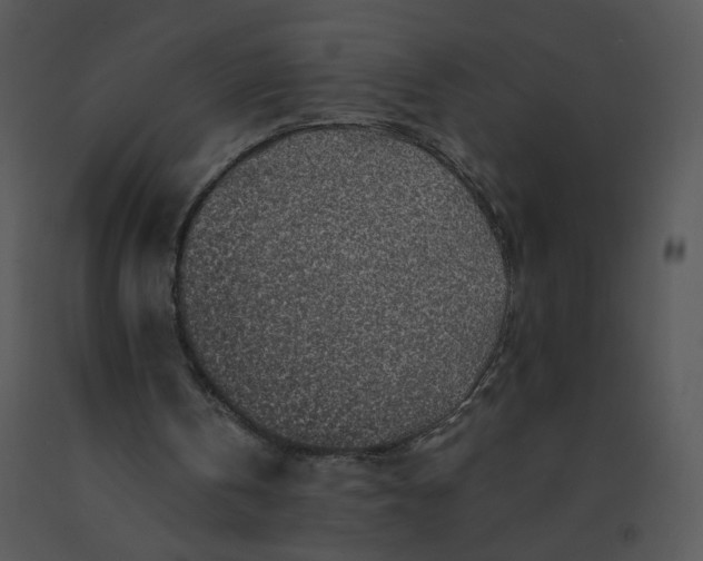 X0000091370146200708311532