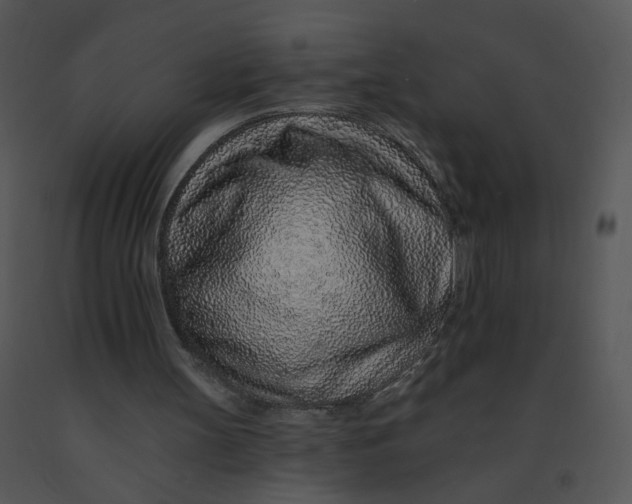 X0000091370147200708311532