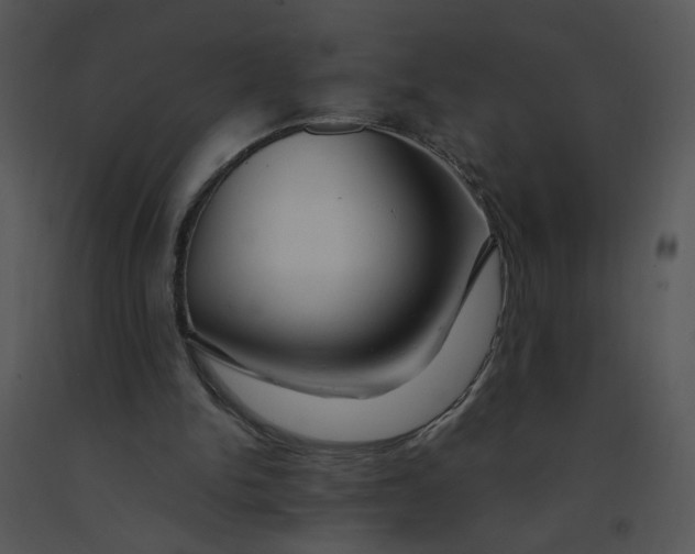 X0000091370150200708311532