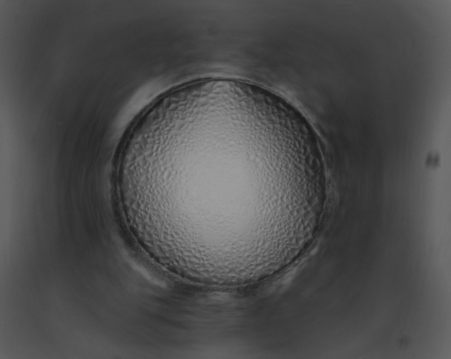 X0000091370151200708311532