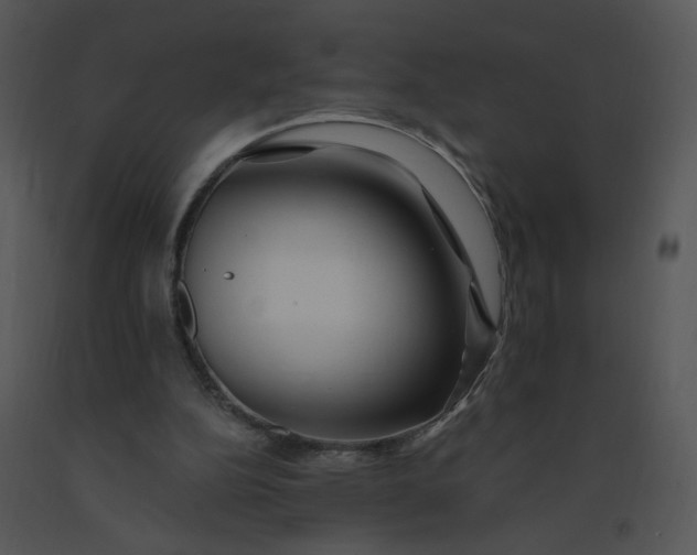 X0000091370152200708311532