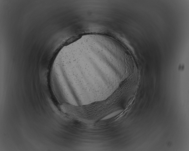 X0000091370154200708311532