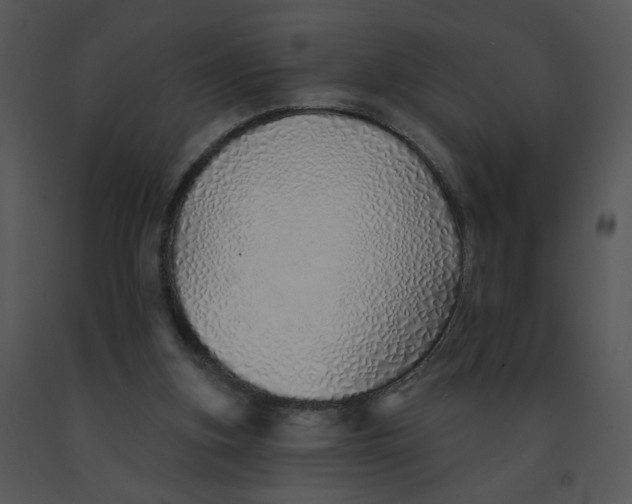 X0000091370155200708311532