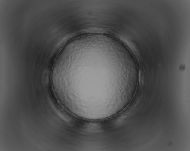 X0000091370157200708311532