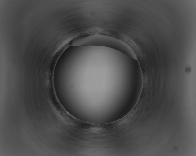 X0000091370158200708311532