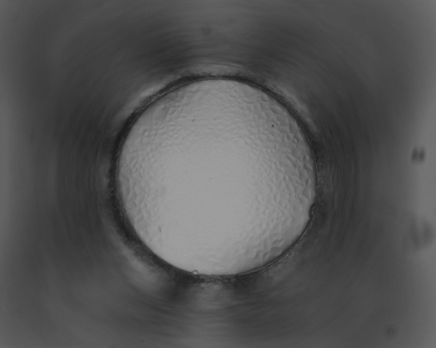 X0000091370159200708311532