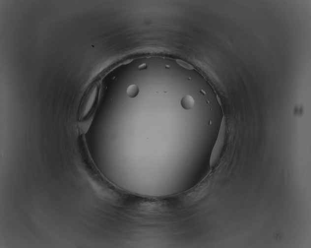 X0000091370160200708311532