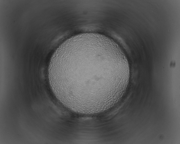 X0000091370161200708311532