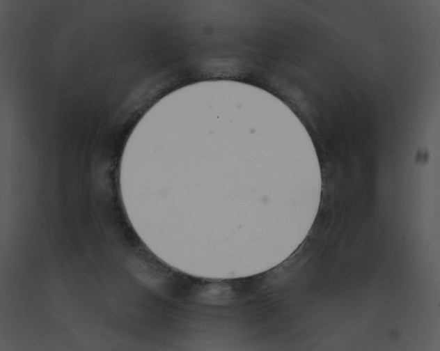 X0000091370162200708311532