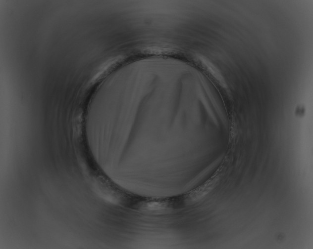 X0000091370163200708311532