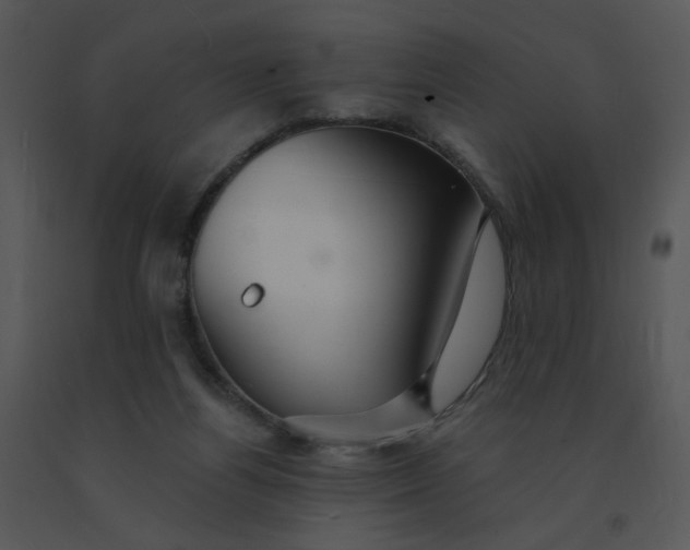 X0000091370164200708311532