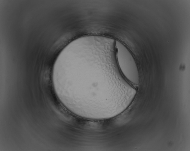 X0000091370166200708311532