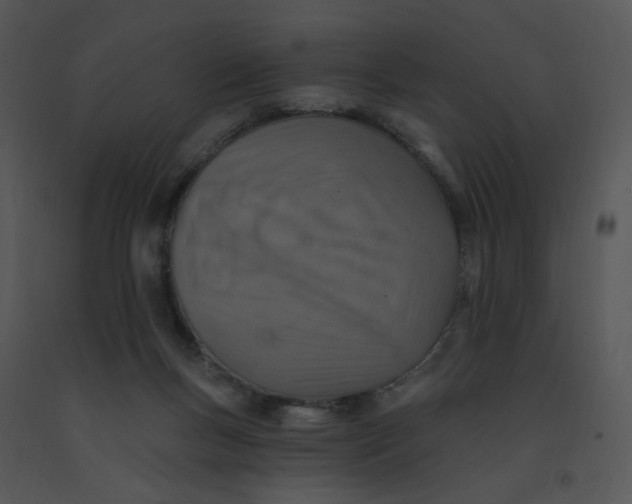 X0000091370167200708311532