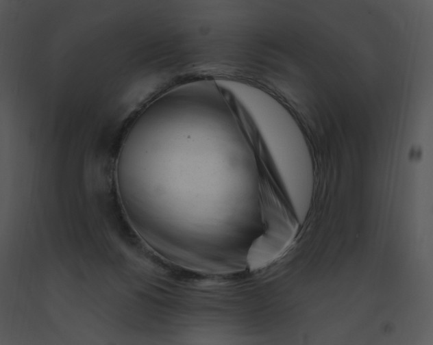 X0000091370168200708311532