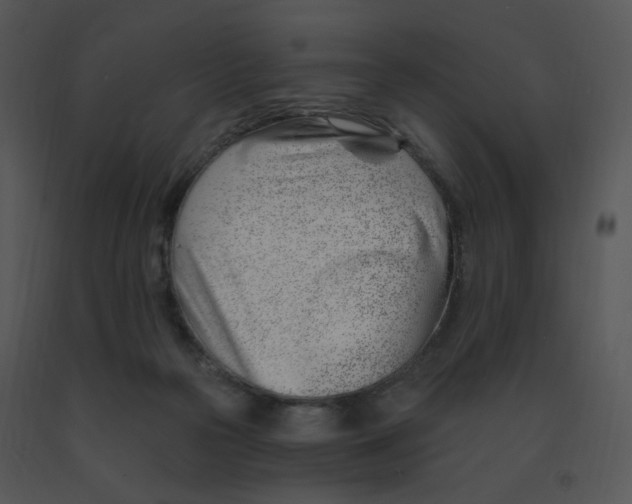 X0000091370169200708311532