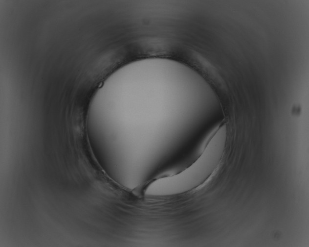 X0000091370170200708311532