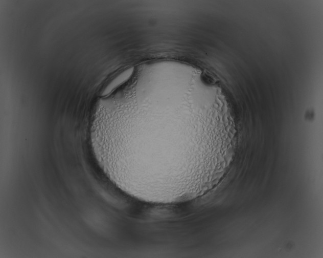 X0000091370171200708311532