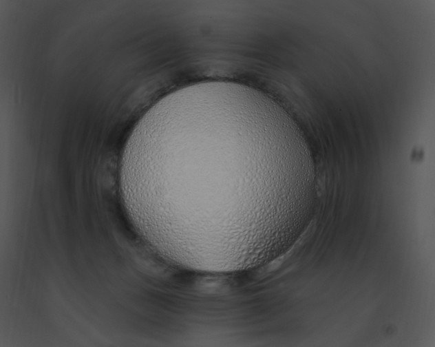 X0000091370175200708311532