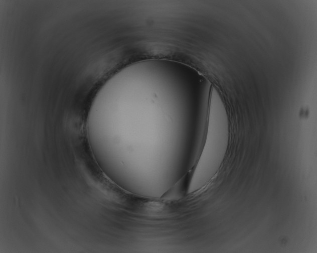 X0000091370176200708311532