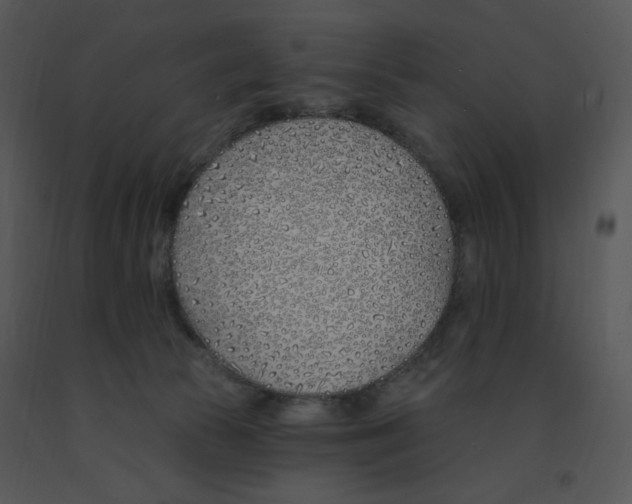 X0000091370177200708311532