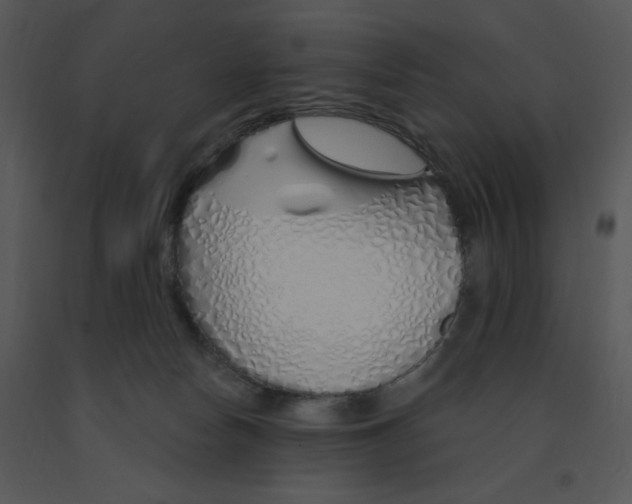 X0000091370178200708311533