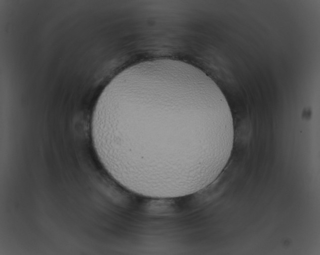 X0000091370179200708311533