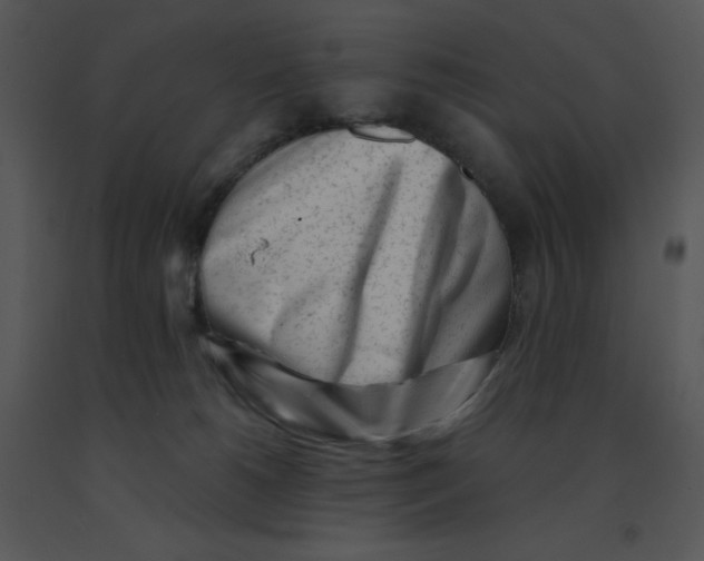 X0000091370180200708311533