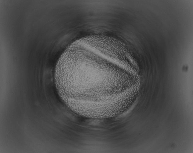 X0000091370182200708311533