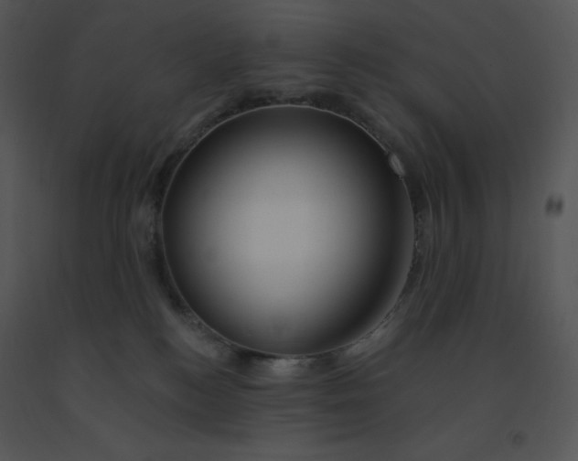 X0000091370184200708311533