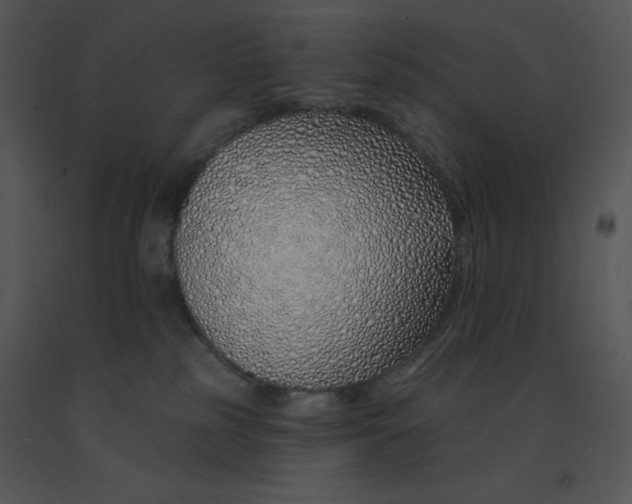 X0000091370185200708311533