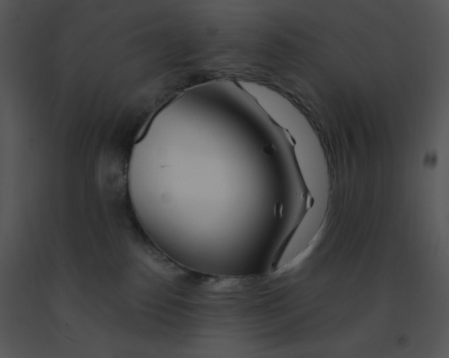 X0000091370186200708311533