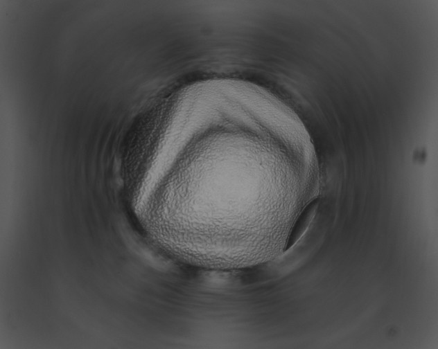 X0000091370187200708311533