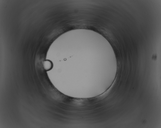 X0000091370190200708311533