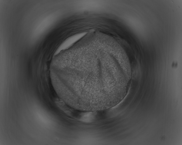 X0000091370191200708311533