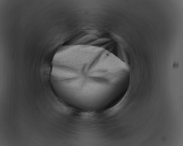 X0000091370192200708311533