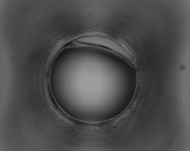 X0000091370193200708311532