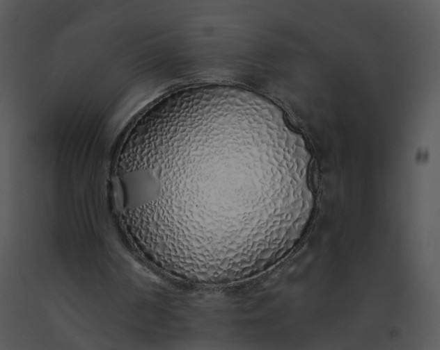 X0000091370194200708311532