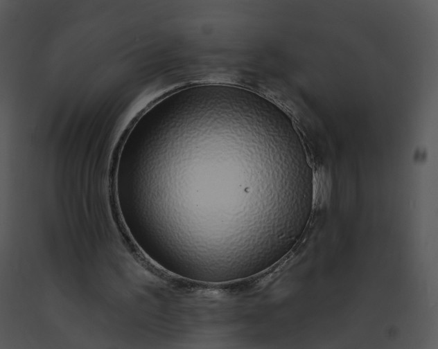 X0000091370195200708311532