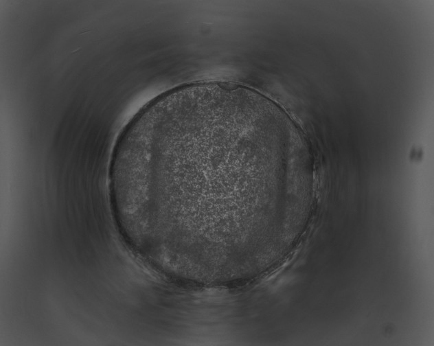 X0000091370196200708311532