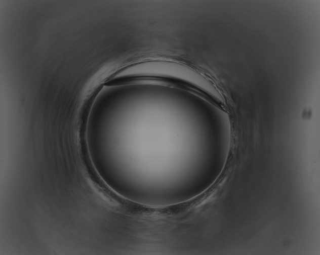 X0000091370197200708311532