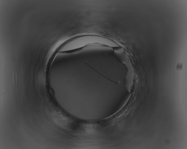 X0000091370200200708311532